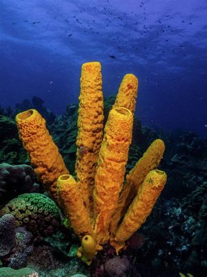  Yellow Tube Sponge: Una esponja que te dejará boquiabierto por su color amarillo vibrante y su estructura tubular impresionante!